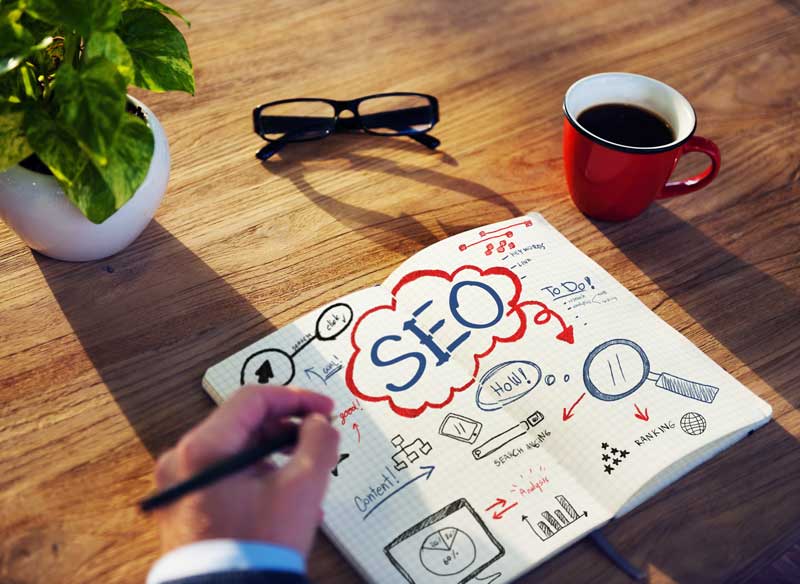 The Disciplines of Successful Marketing Leaders